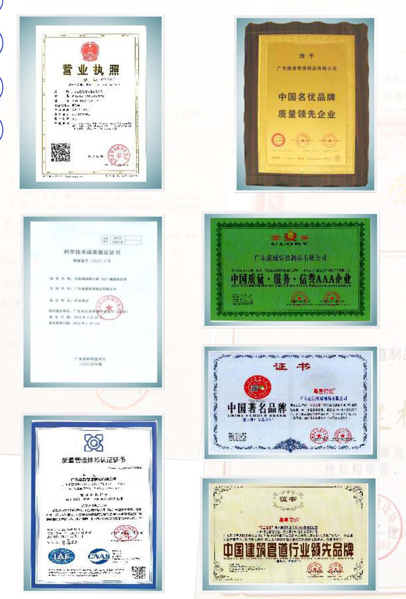 內肋榮譽.jpg 內肋榮譽.jpg